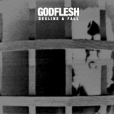 Godflesh - Decline & Fall EP