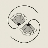 Godspeed You! Black Emperor - G_d's Pee AT STATE'S END!