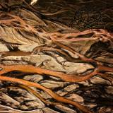 Krallice - Psychagogue