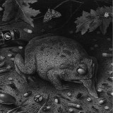 Tusmorke - Ført Bak Lyset