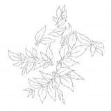 Nhor - Momenta Quintae Essentiae