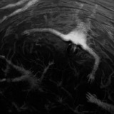 Altarage - The Approaching Roar