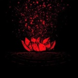 Lotus Thief - Oresteia