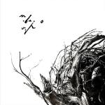 Negura Bunget  - Vîrstele Pamintului