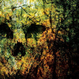 Colossus Fall - Sempervirens