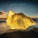 Gone Is Gone - Echolocation