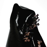 Process of Guilt - Black Earth