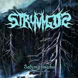 Stryvigor - Forgotten by Ages