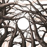 Svalbard - It's Hard to Have Hope