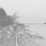 Tervahaat - Kalmonsaie