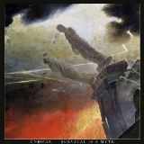 Undoer - Survival is a Myth